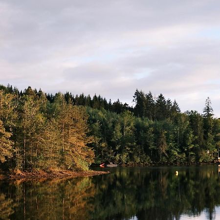 Lodge Avec Spa Privatif - Foret Et Lac Liginiac Eksteriør billede