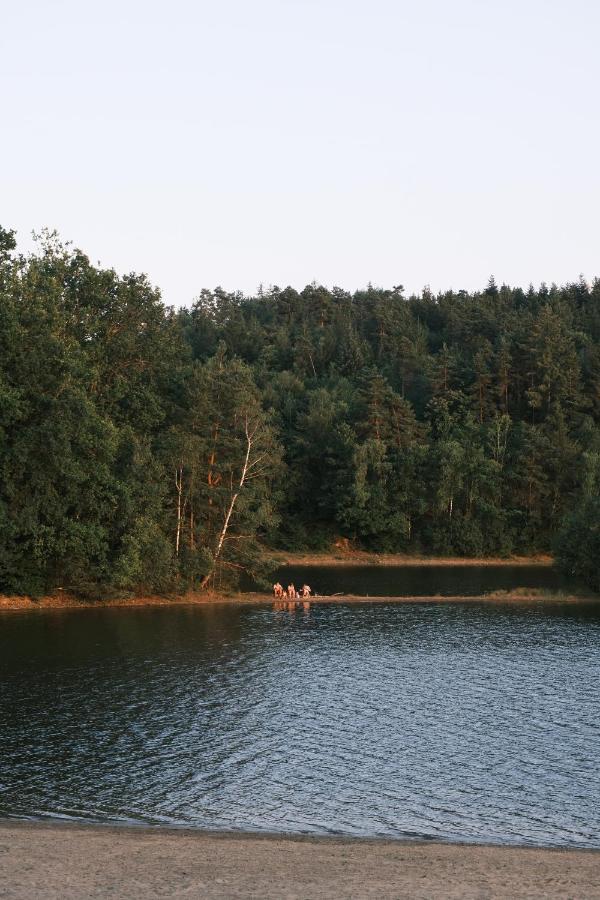 Lodge Avec Spa Privatif - Foret Et Lac Liginiac Eksteriør billede