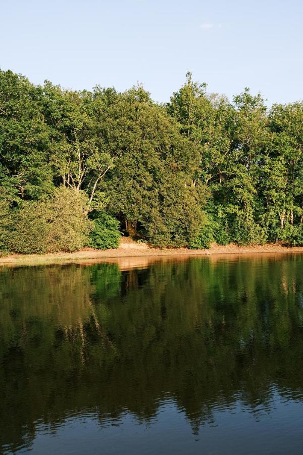 Lodge Avec Spa Privatif - Foret Et Lac Liginiac Eksteriør billede