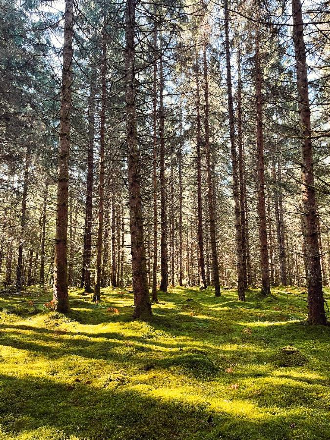 Lodge Avec Spa Privatif - Foret Et Lac Liginiac Eksteriør billede