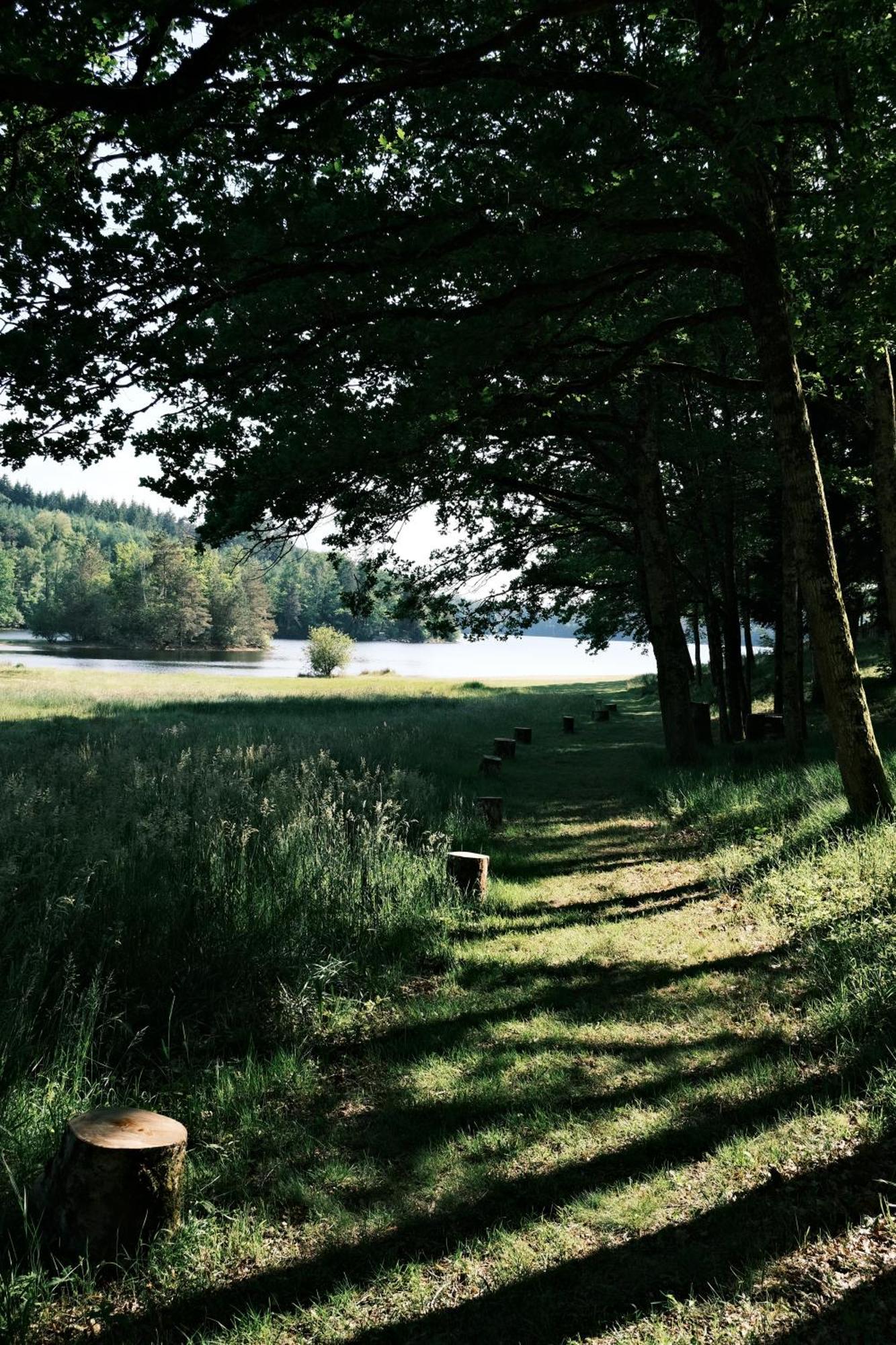 Lodge Avec Spa Privatif - Foret Et Lac Liginiac Eksteriør billede