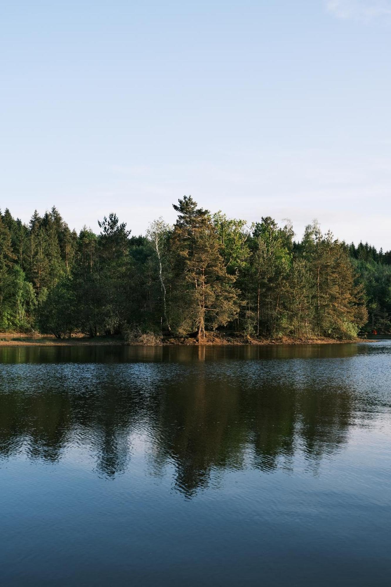 Lodge Avec Spa Privatif - Foret Et Lac Liginiac Eksteriør billede
