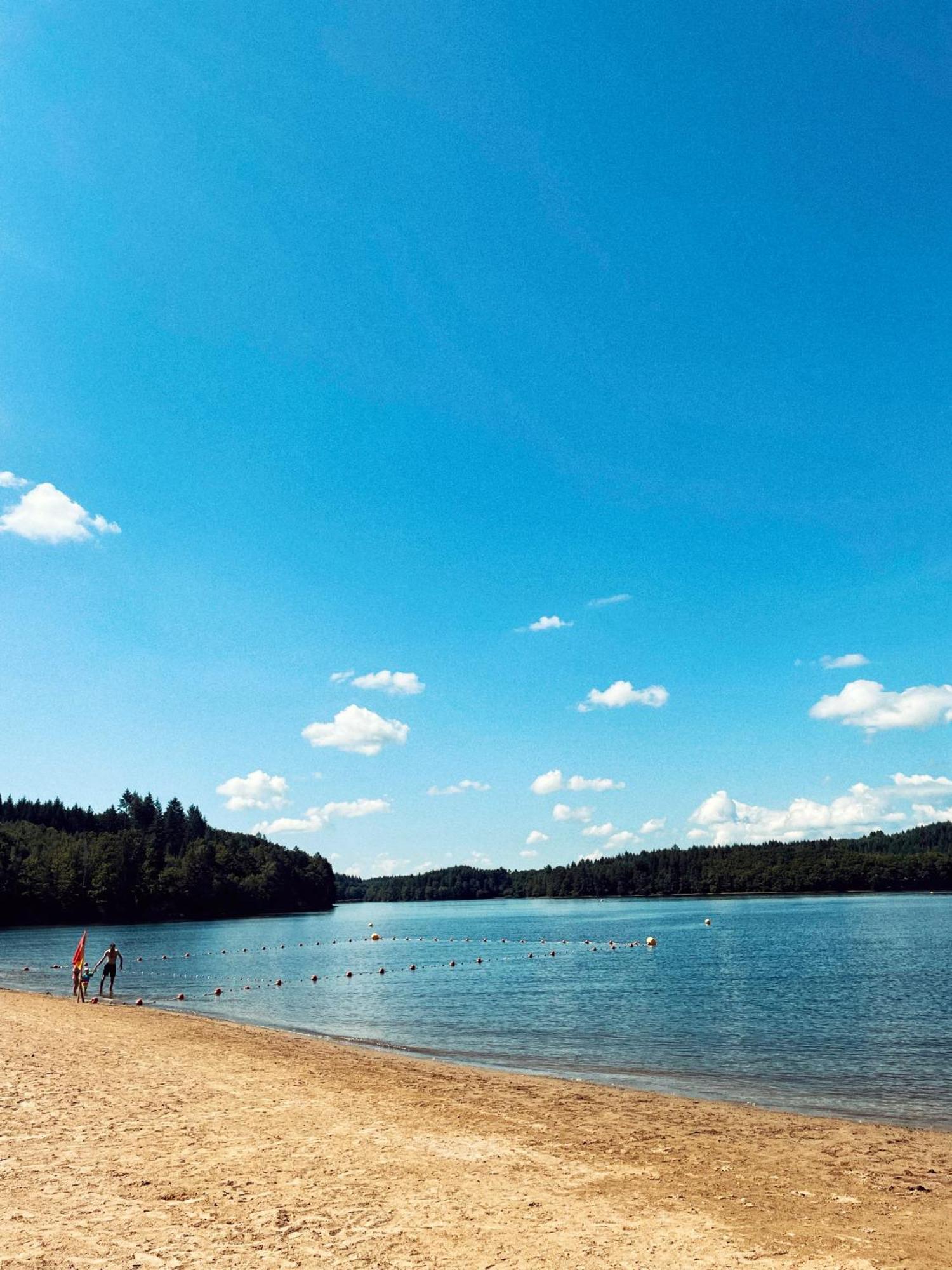 Lodge Avec Spa Privatif - Foret Et Lac Liginiac Eksteriør billede