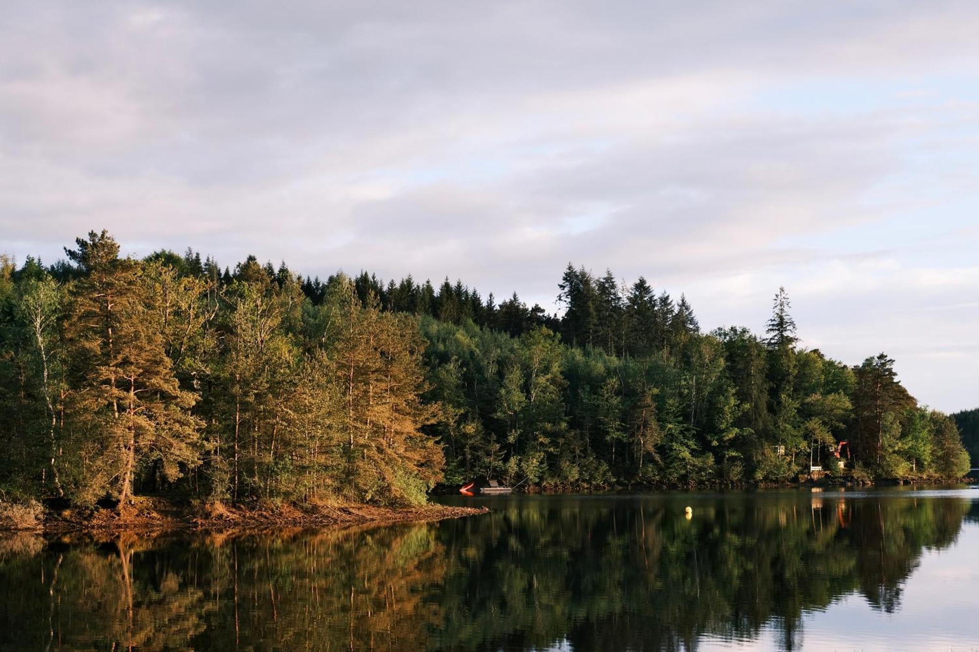 Lodge Avec Spa Privatif - Foret Et Lac Liginiac Eksteriør billede